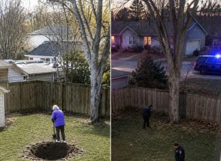 MOJA KOMŠINICA JE SVAKOG VIKENDA KOPALA RUPE U DVORIŠTU — A ONDA JE JEDNOG JUTRA POLICIJA IZNENADA DOŠLA MOJA KOMŠINICA JE SVAKOG VIKENDA KOPALA RUPE U DVORIŠTU — A ONDA JE JEDNOG JUTRA POLICIJA IZNENADA DOŠLA - featured image