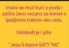 VIC DANA: Ne svađaj se sa molerima VIC DANA: Ne svađaj se sa molerima - featured image
