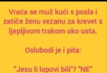 VIC DANA: Ne svađaj se sa molerima VIC DANA: Ne svađaj se sa molerima - featured image