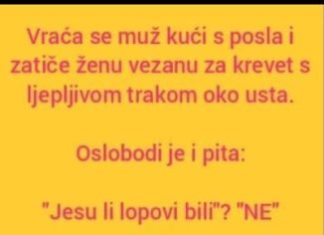 VIC DANA: Ne svađaj se sa molerima VIC DANA: Ne svađaj se sa molerima - featured image