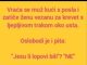 VIC DANA: Ne svađaj se sa molerima VIC DANA: Ne svađaj se sa molerima - featured image
