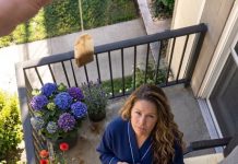 Moj komšija je stalno bacao iskorišćene kesice čaja na moj balkon. Tri puta sam ga upozorila — a onda sam odlučila da postupim potpuno drugačije. Moj komšija je stalno bacao iskorišćene kesice čaja na moj balkon. Tri puta sam ga upozorila — a onda sam odlučila da postupim potpuno drugačije. - featured image