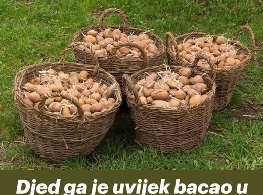 Djed ga je uvijek bacao u vreću s krompirom i trajali su do sljedeće žetve: Nijedan nije proklijao! Djed ga je uvijek bacao u vreću s krompirom i trajali su do sljedeće žetve: Nijedan nije proklijao! - featured image