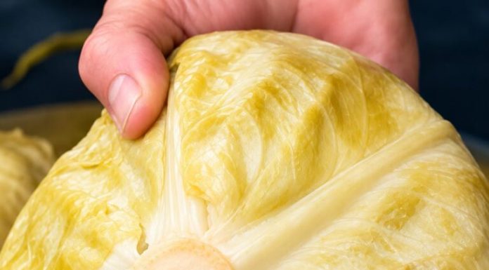 Ako pogriješite datum, sve vam može propasti: Evo kada se tačno kiseli kupus ove godine