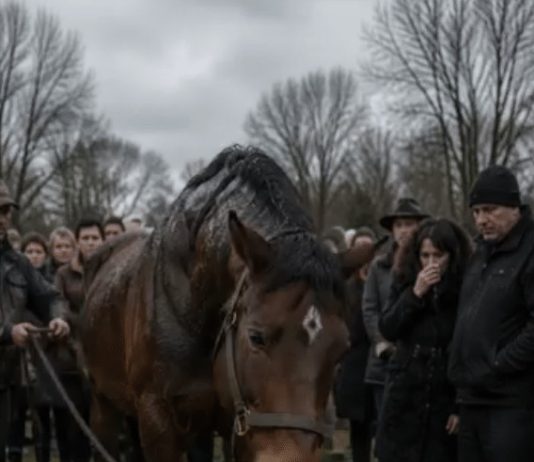 😱 Tijekom sprovoda 60-godišnjeg farmera njegov se vjerni konj iznenada otrgnuo s farme, ujurio na groblje i počeo snažno udarati kopitima po lijesu. Nekoliko muškaraca pokušalo je odvući životinju, ali činilo se kao da konj zna nešto što ljudi ne znaju. 😱 Tijekom sprovoda 60-godišnjeg farmera njegov se vjerni konj iznenada otrgnuo s farme, ujurio na groblje i počeo snažno udarati kopitima po lijesu. Nekoliko muškaraca pokušalo je odvući životinju, ali činilo se kao da konj zna nešto što ljudi ne znaju. - featured image